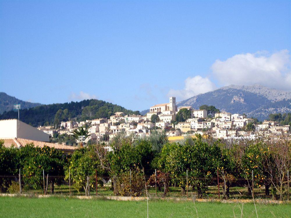 Finca Son Olive Selva  Exterior photo