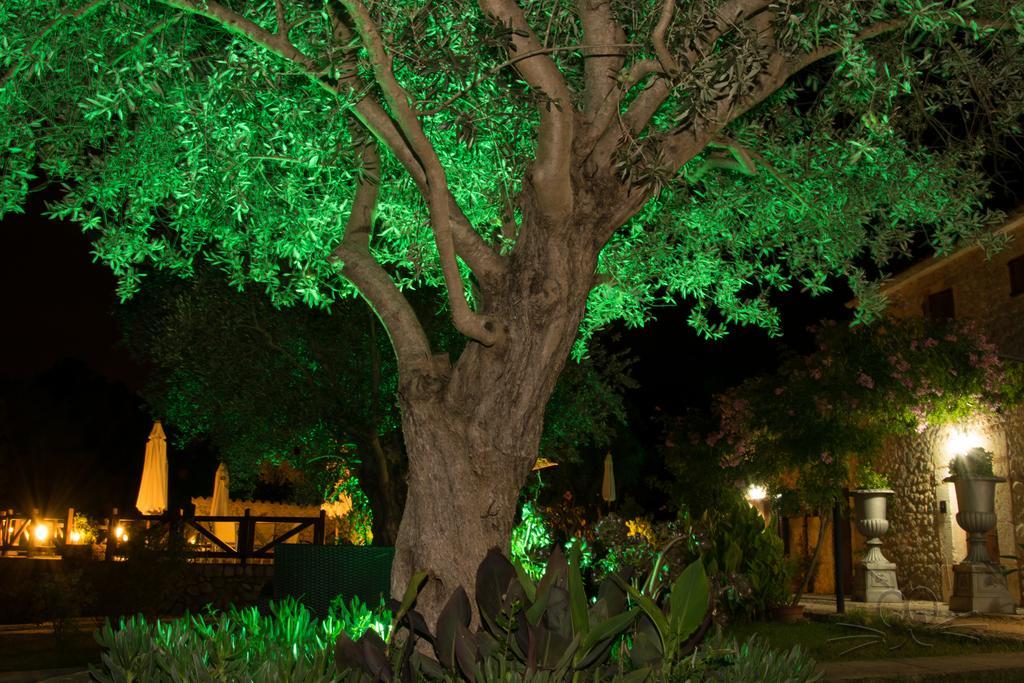 Finca Son Olive Selva  Exterior photo