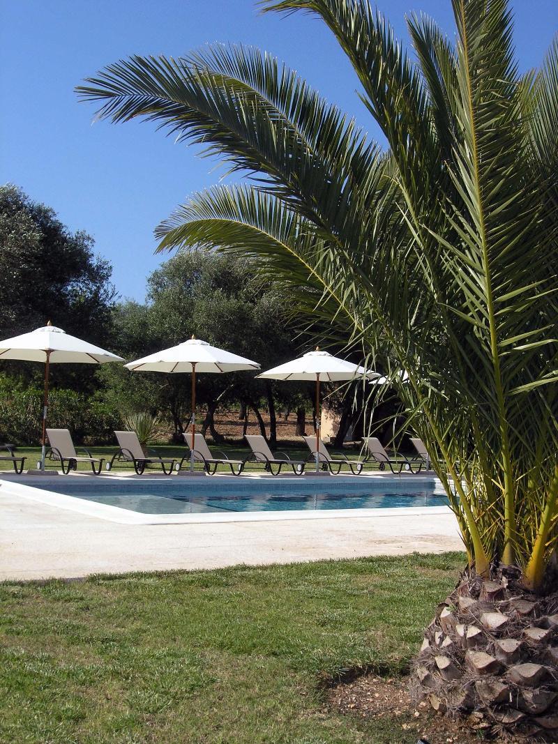 Finca Son Olive Selva  Exterior photo